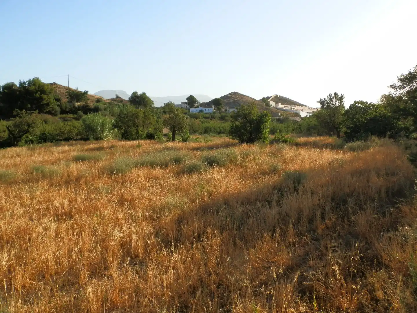 Casa rústica en venda a Paraje Redoras 10, imagen 5