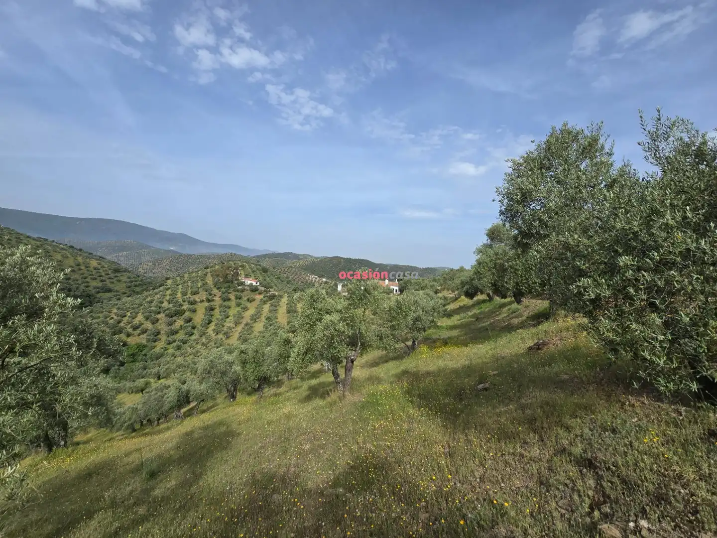 Finca rústica en venta en Pozoblanco