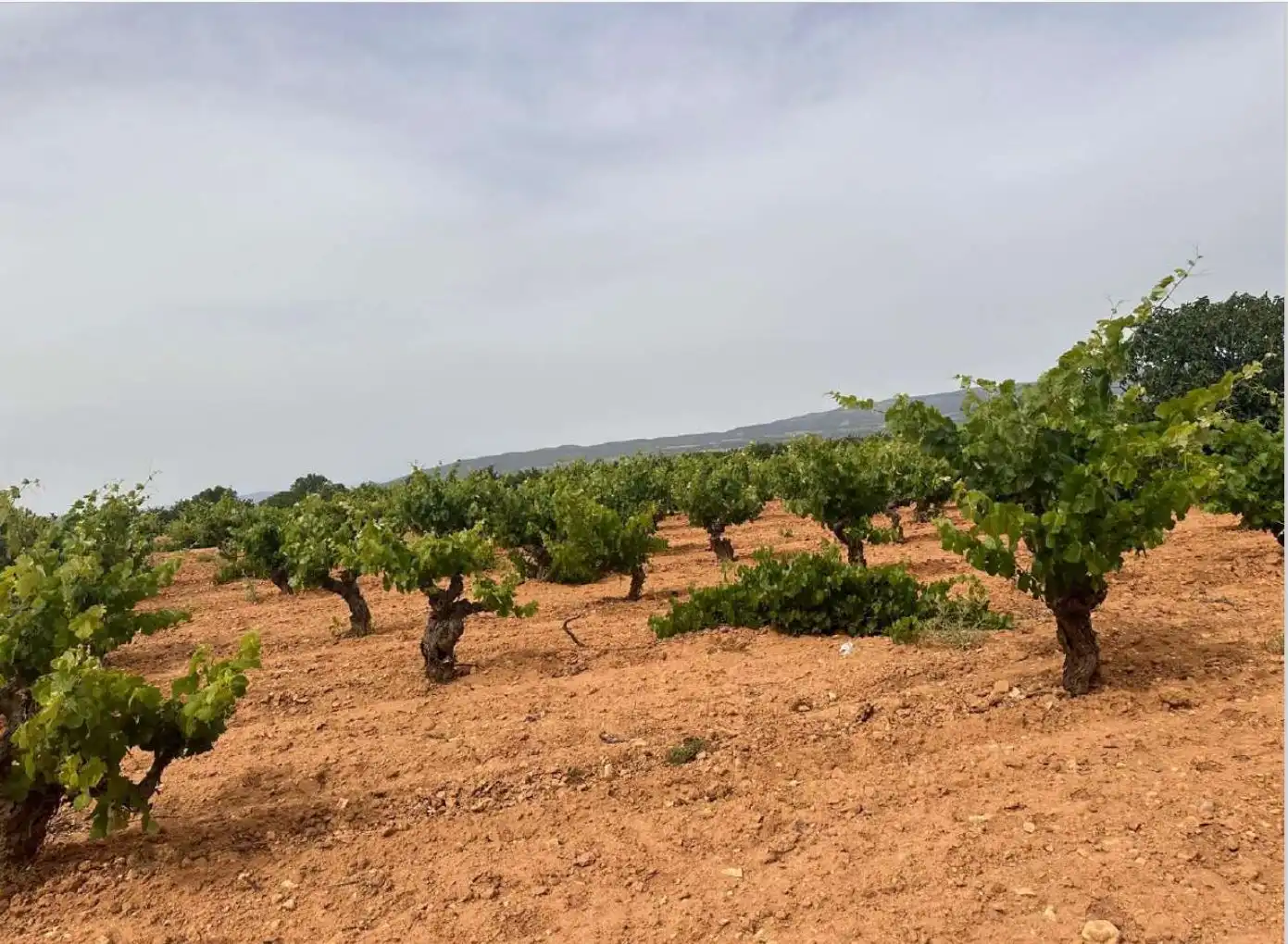 Wohnbaugrundstück zum Verkauf in Polígono 20. Parcela, imagen 7