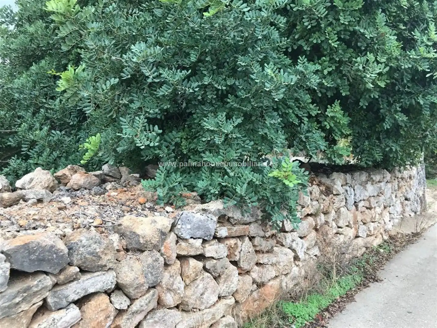 Wohnbaugrundstück zum Verkauf in Muro, imagen 2