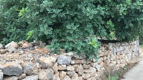 RUSTICA CON CASETA EN MURO, immagine 2
