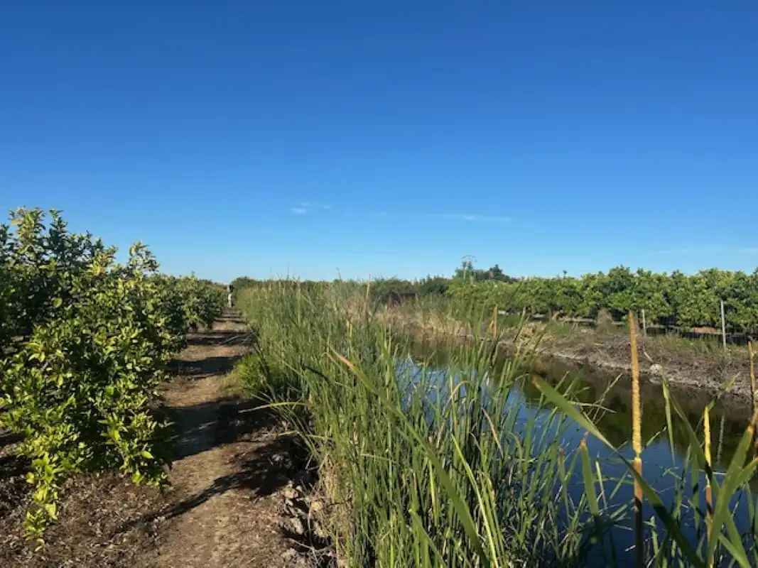 Terreno en venta en Xeresa