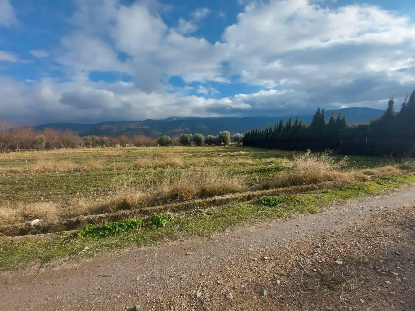 Rural land for sale in Laujar de Andarax, imagen 9