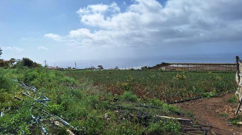 Foto 5 de Finca rústica en venda a El Pris - Juan Fernández, Santa Cruz de Tenerife