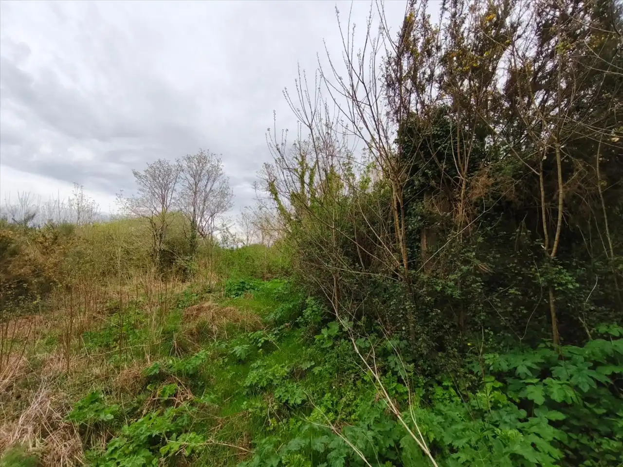Residential land for sale in Santiago, imagen 7