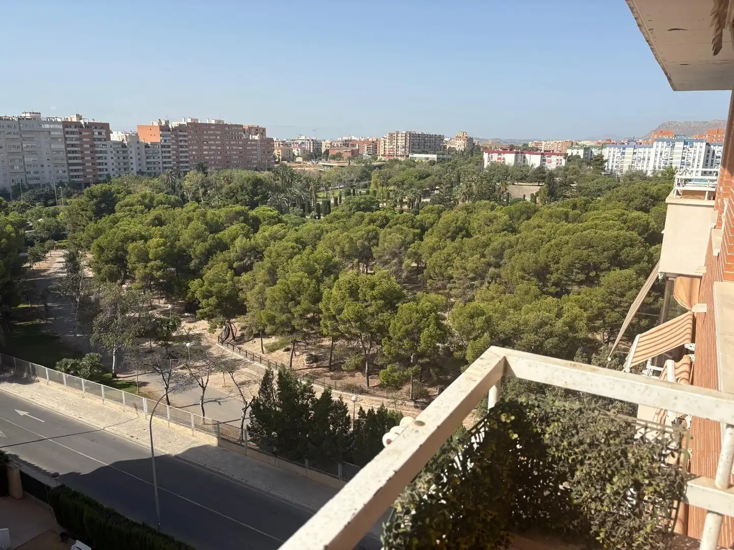 Vista exterior de Pis de lloguer en Alicante / Alacant amb Jardí privat, Terrassa i Moblat