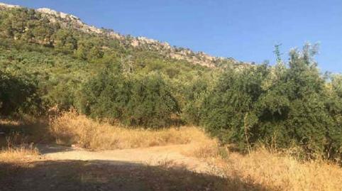Foto 3 de Terreno en venta en N/a, Villanueva del Arzobispo, Jaén