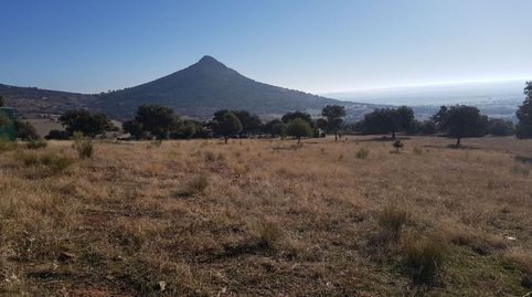 PARCELA CON CHALETS EN PLENA NATURALEZA, imatge 2