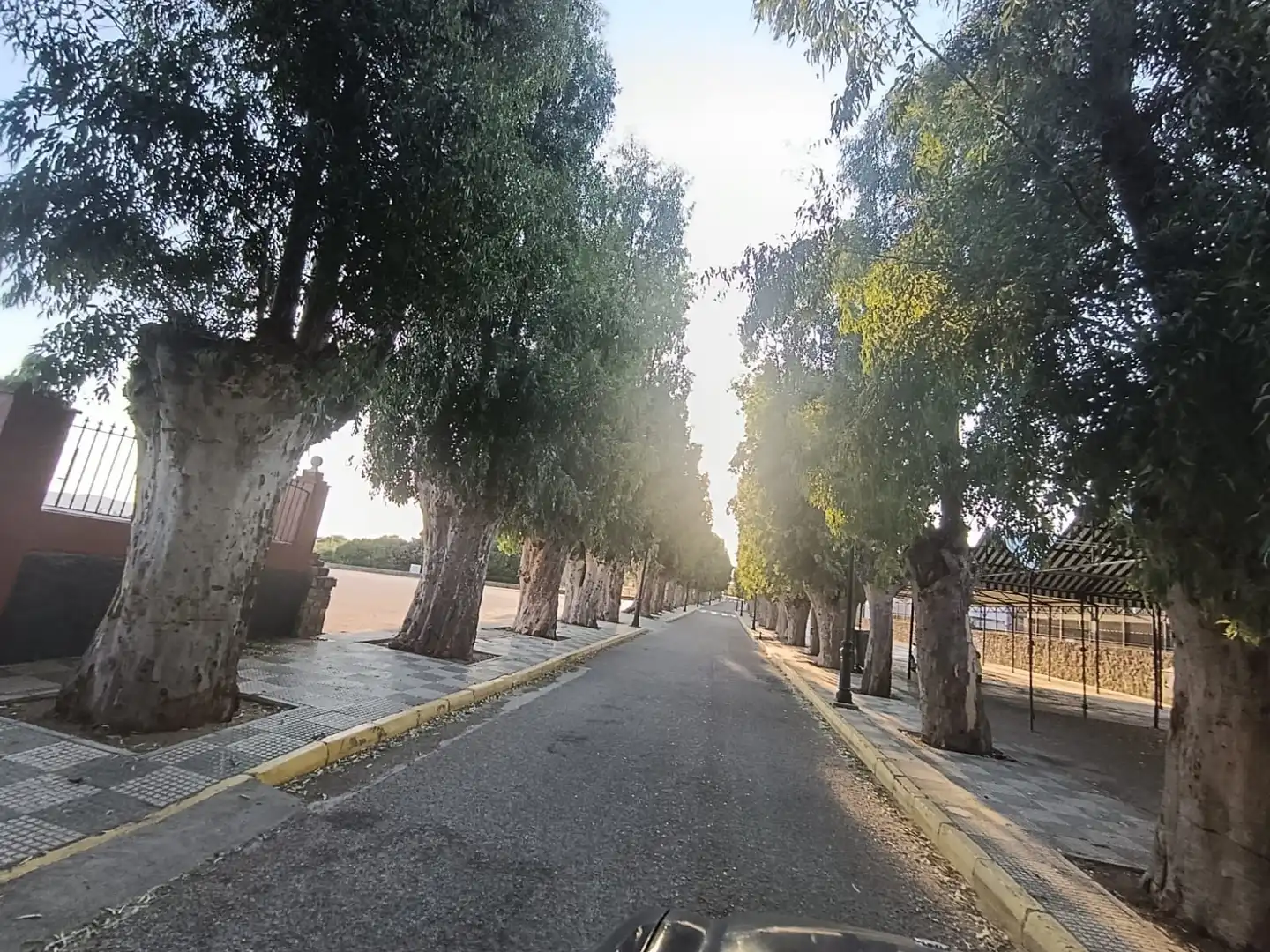 Adossat en venda a El Pedroso, imagen 46