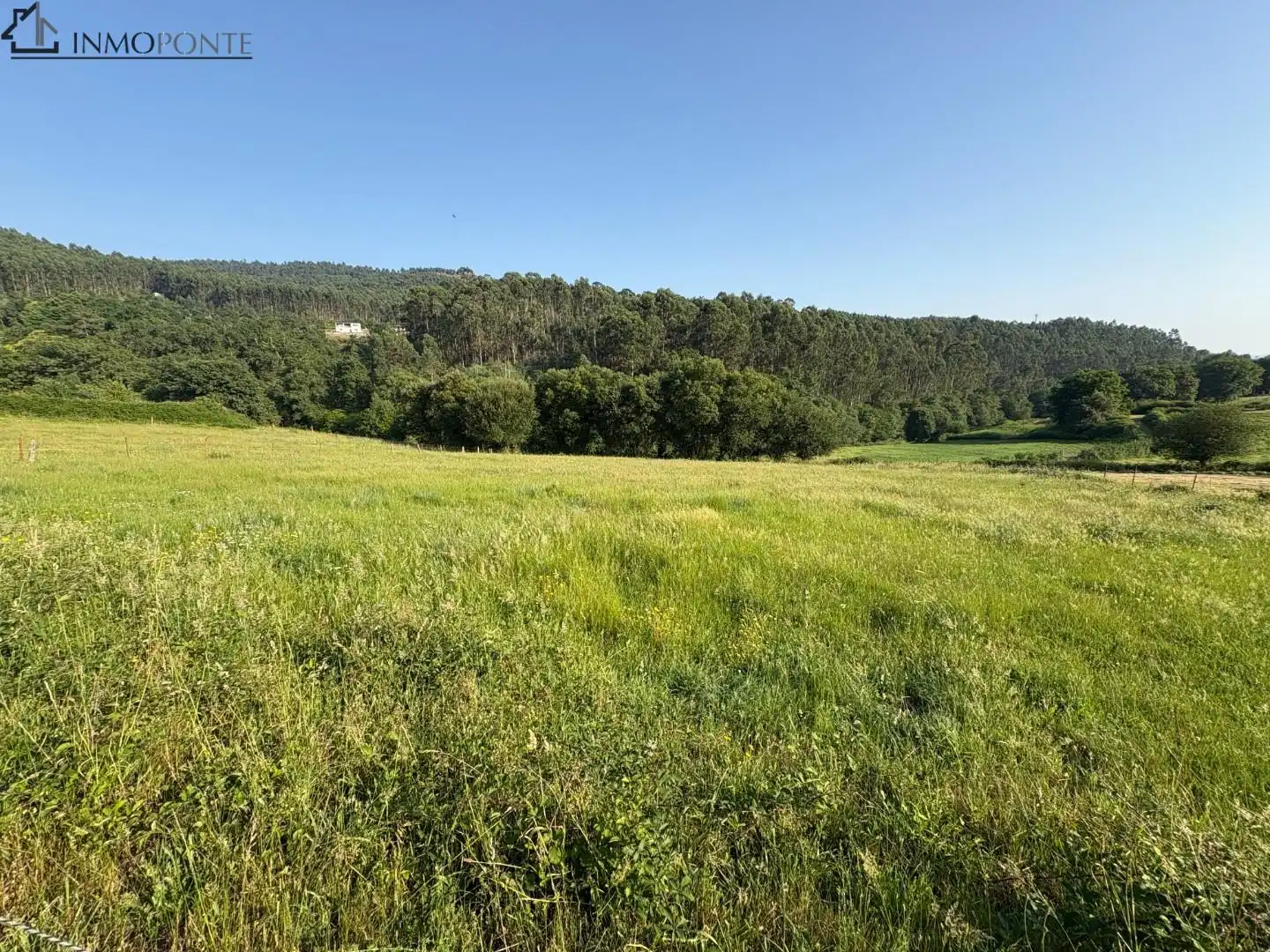 Terrenys i solars en venda a Cotobade