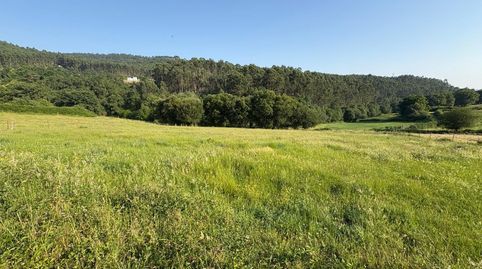 SE VENDE TERRENO RúSTICO EN LUGAR LIñARES, VIASCóN. Se ofrece en venta un terreno rústico de 2448 m ubicado en Lugar Liñares, a ta