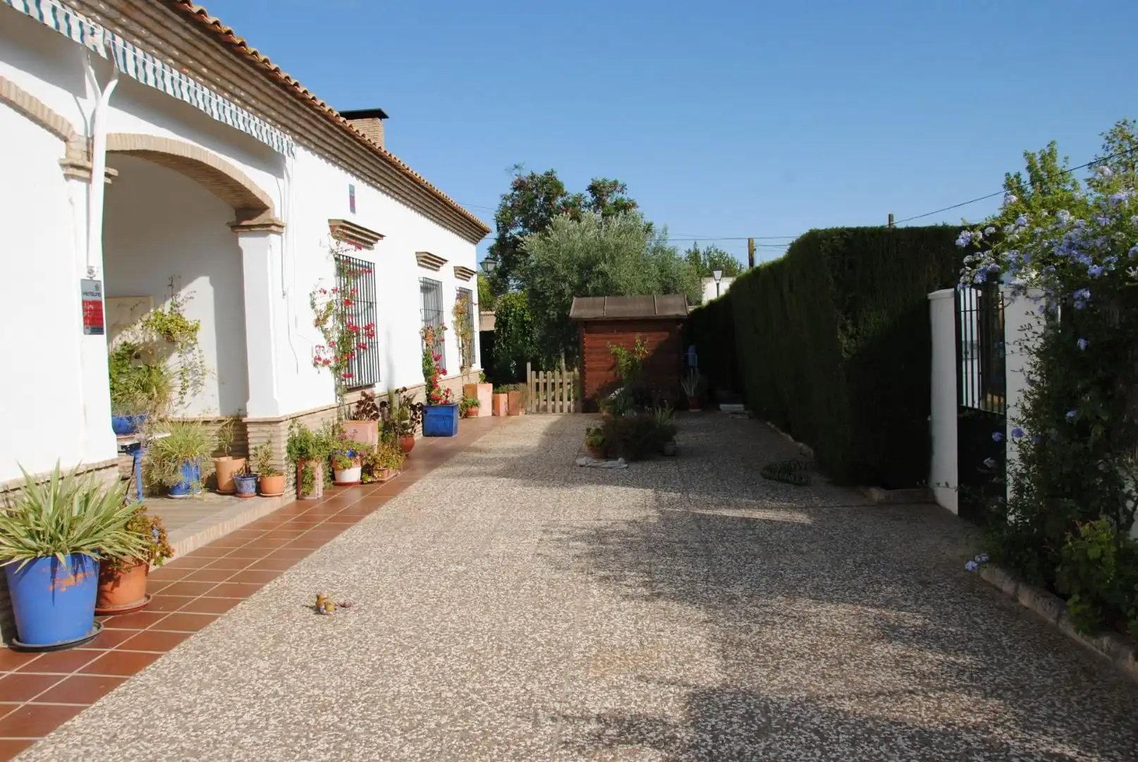 Jardí de Casa o xalet en venda en Espartinas amb Aire condicionat, Calefacció i Jardí privat