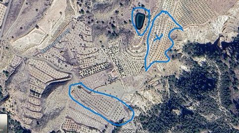 SE VENDE FINCA LIMONEROS EN RICOTE, immagine 2