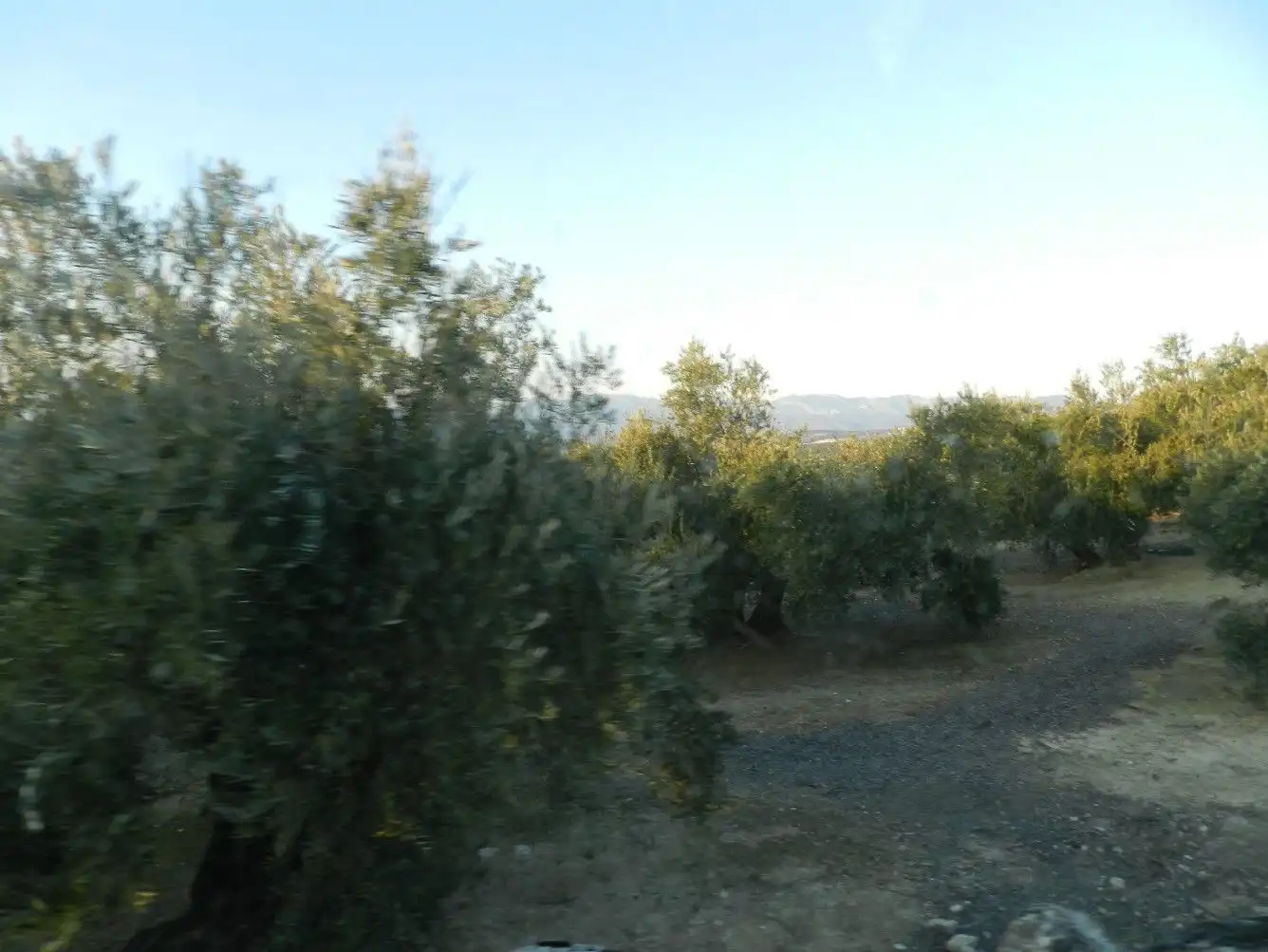Terreni e lotti in vendita a Villanueva de la Reina, imagen 6