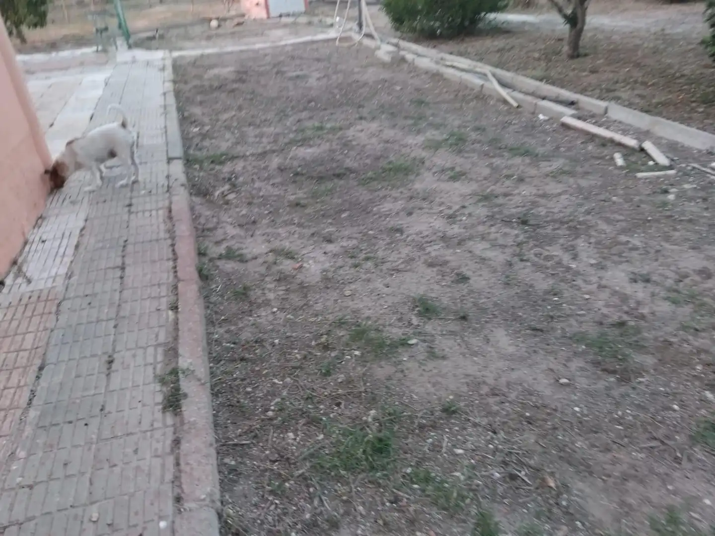 Detached house with garden for sale in El Marenyet, imagen 22