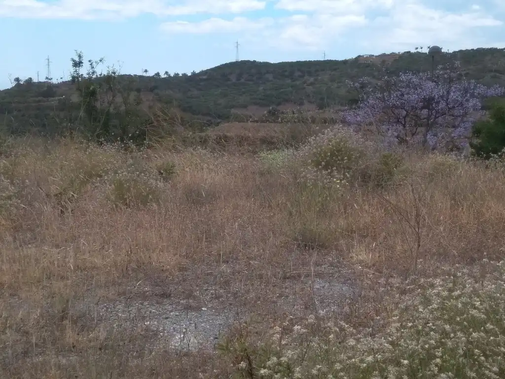 Rural land for sale in Almayate, imagen 11