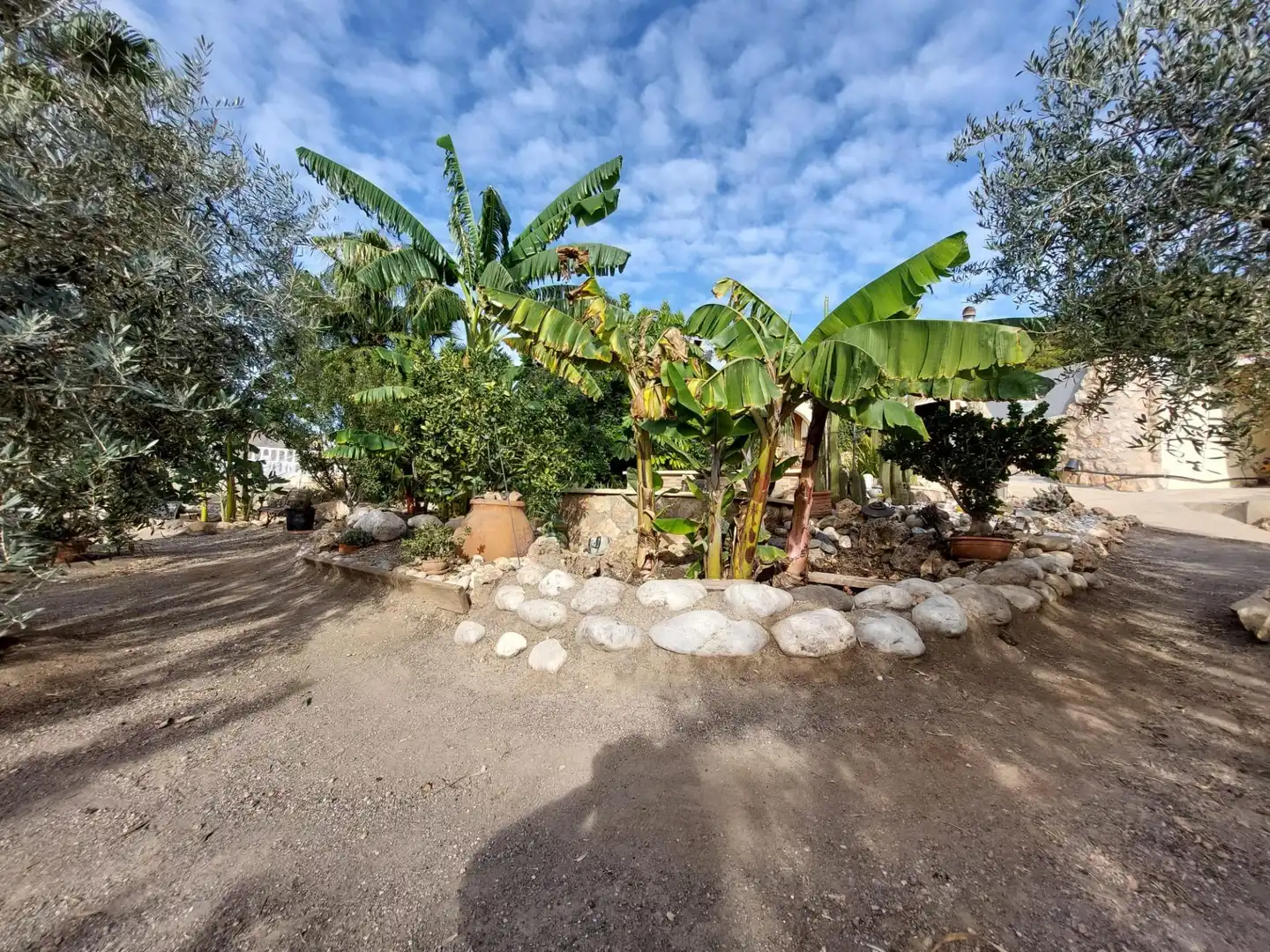 Casa rustica con piscina in vendita a Tébar - Los Arejos, imagen 52