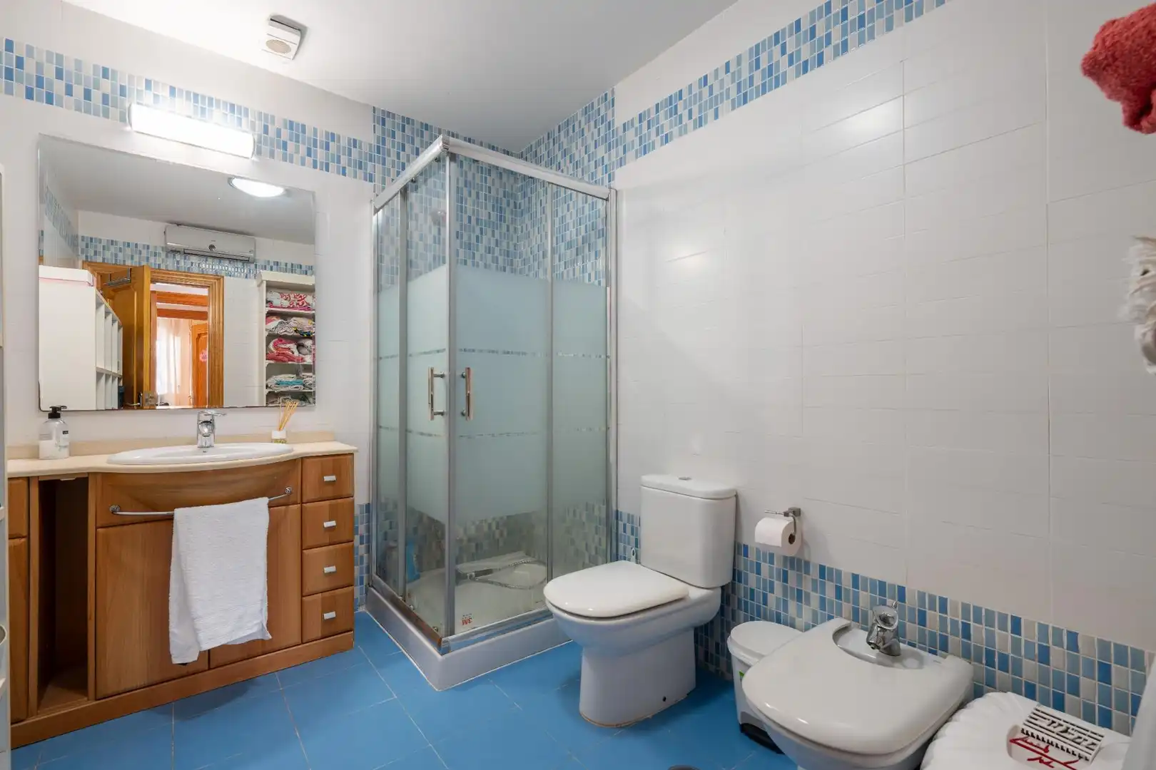 Baño de Casa o chalet en venta en Roquetas de Mar con Aire acondicionado, Calefacción y Jardín privado
