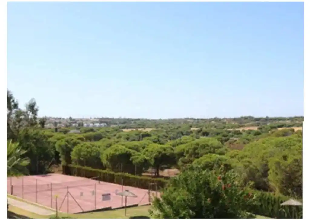 Jardín de Casa adosada en venta en Lepe con Calefacción, Terraza y Piscina