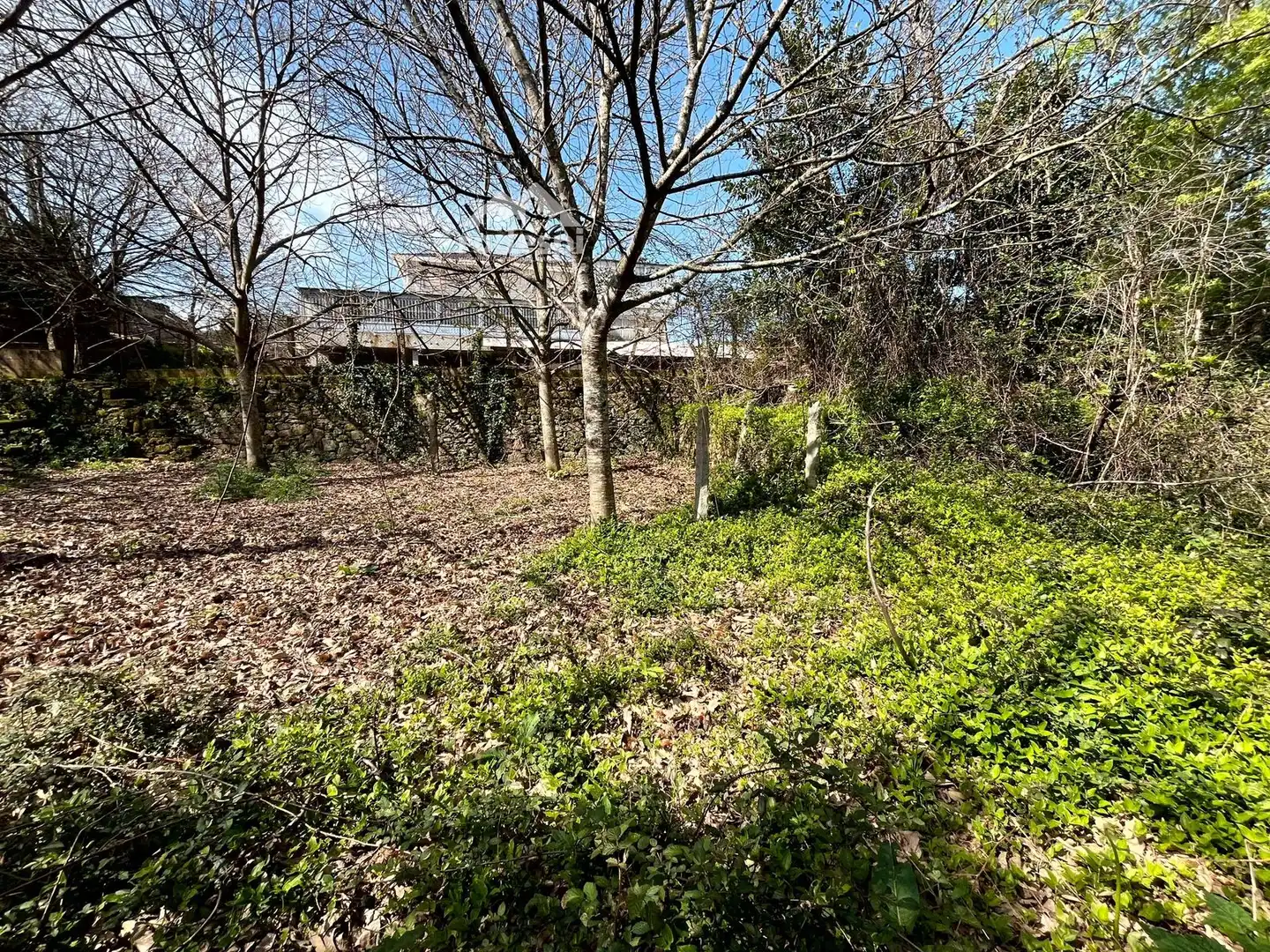 Xalet en venda a Arbo, imagen 14