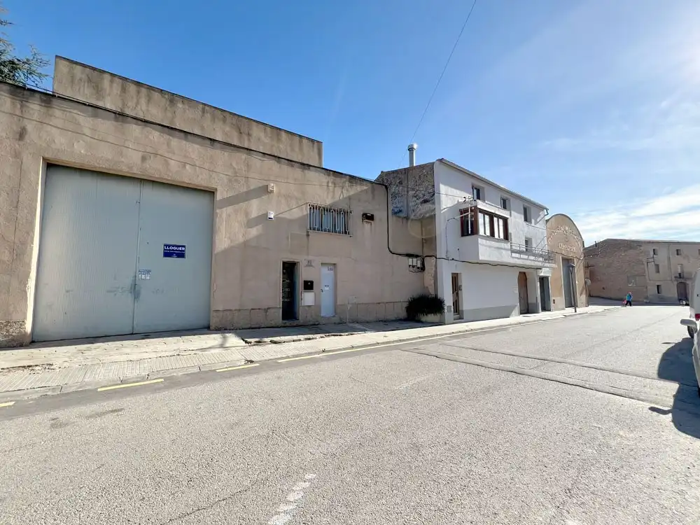 Nave industrial in affitto a SINDICAT, imagen 4