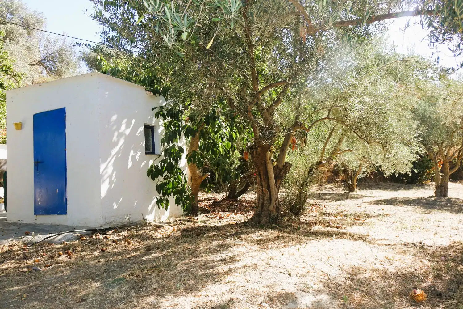 Garden of Houses for sale in Órgiva, Granada