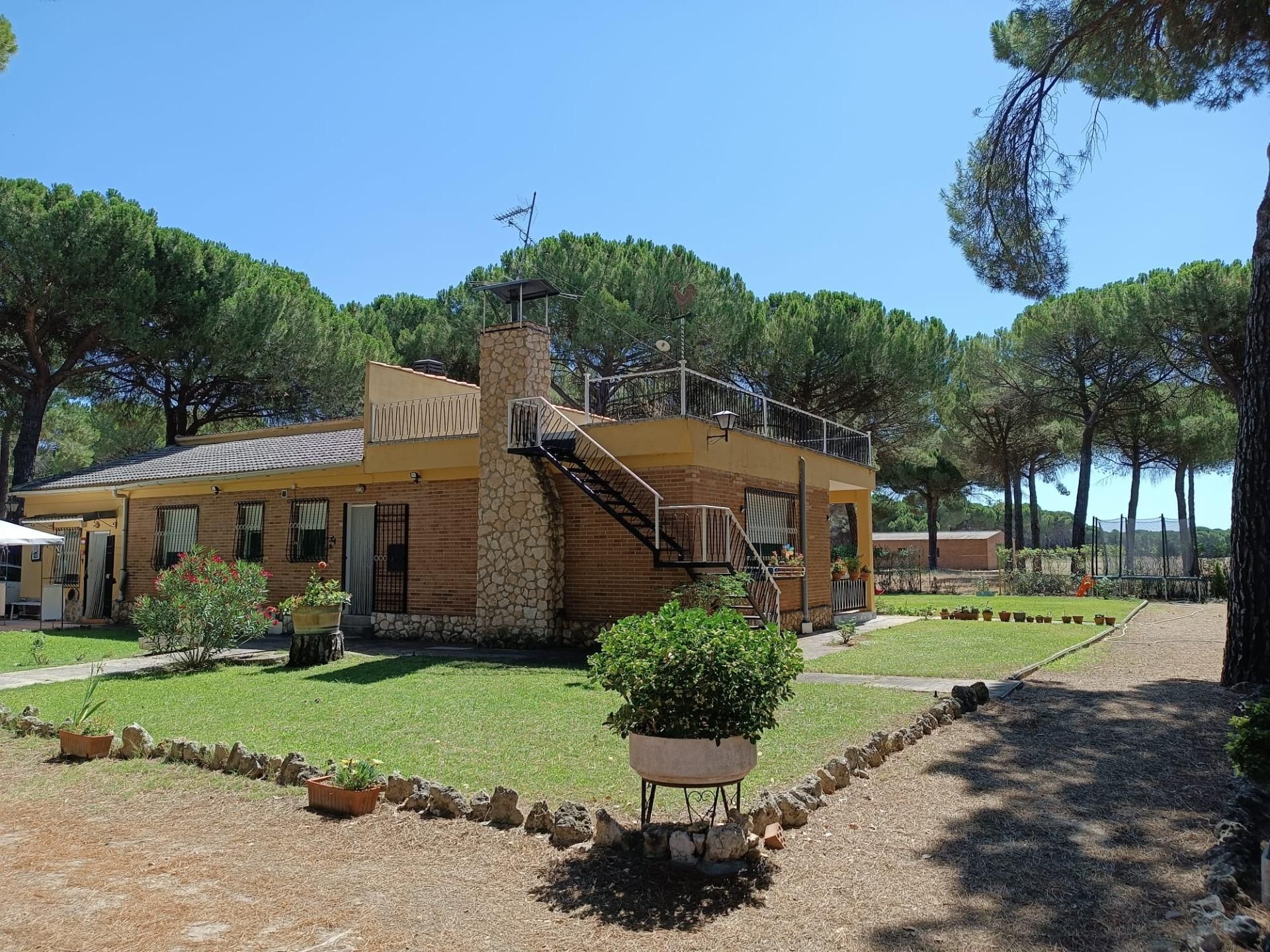 Exterior view of Country house for sale in Villanueva de Duero  with Terrace