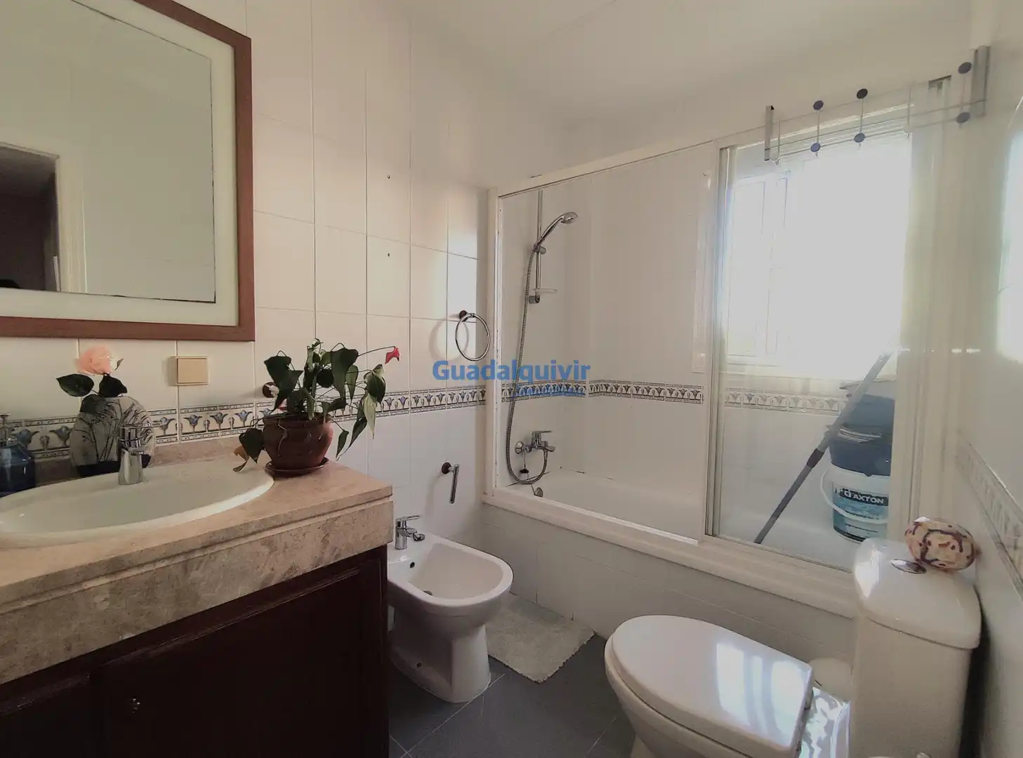 Casa con piscina in vendita a Aljamar, imagen 13