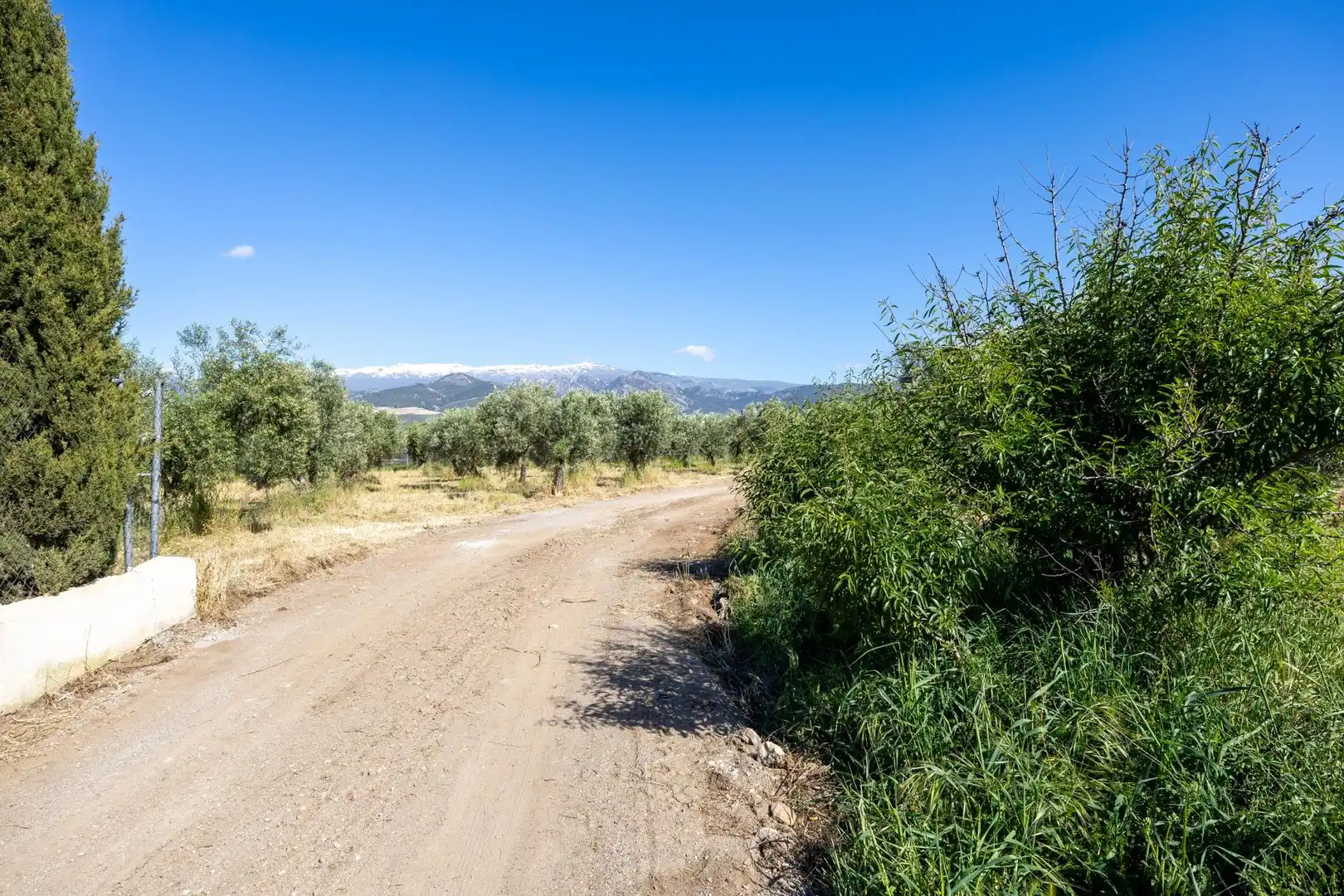 Rural land for sale in Polígono 3 Parcela 220 Arnique, imagen 31