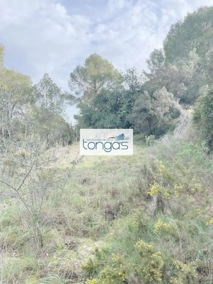 Terreny residencial en venda a Xàtiva, imagen 6