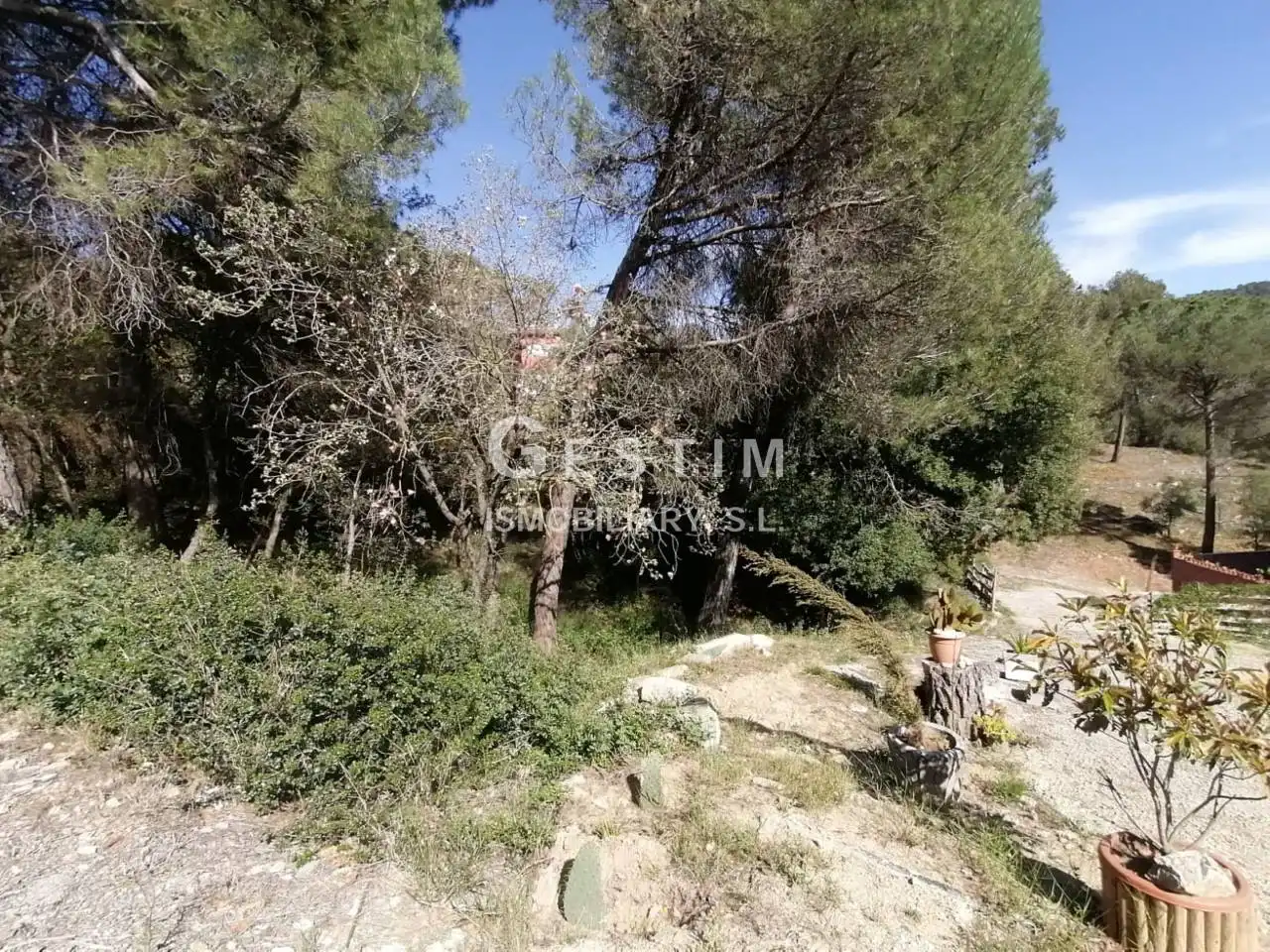 Terreno residenziale in vendita a Avenida JOAN MIRO, imagen 11