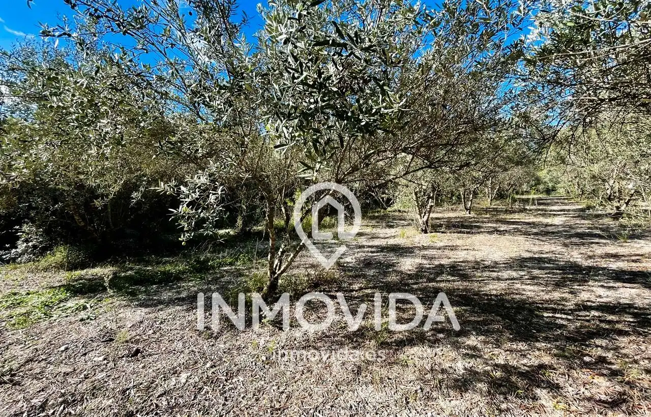 Casa o chalet en venta en R-9 Foies B Pol-16, 3, Xàtiva
