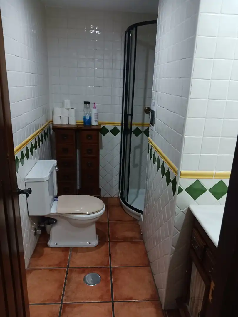 Bany de Loft de lloguer en Granada amb Aire condicionat, Calefacció i Moblat