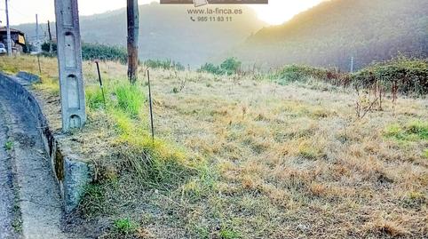 Foto 5 de Finca rústica en venta en Pravia, Asturias