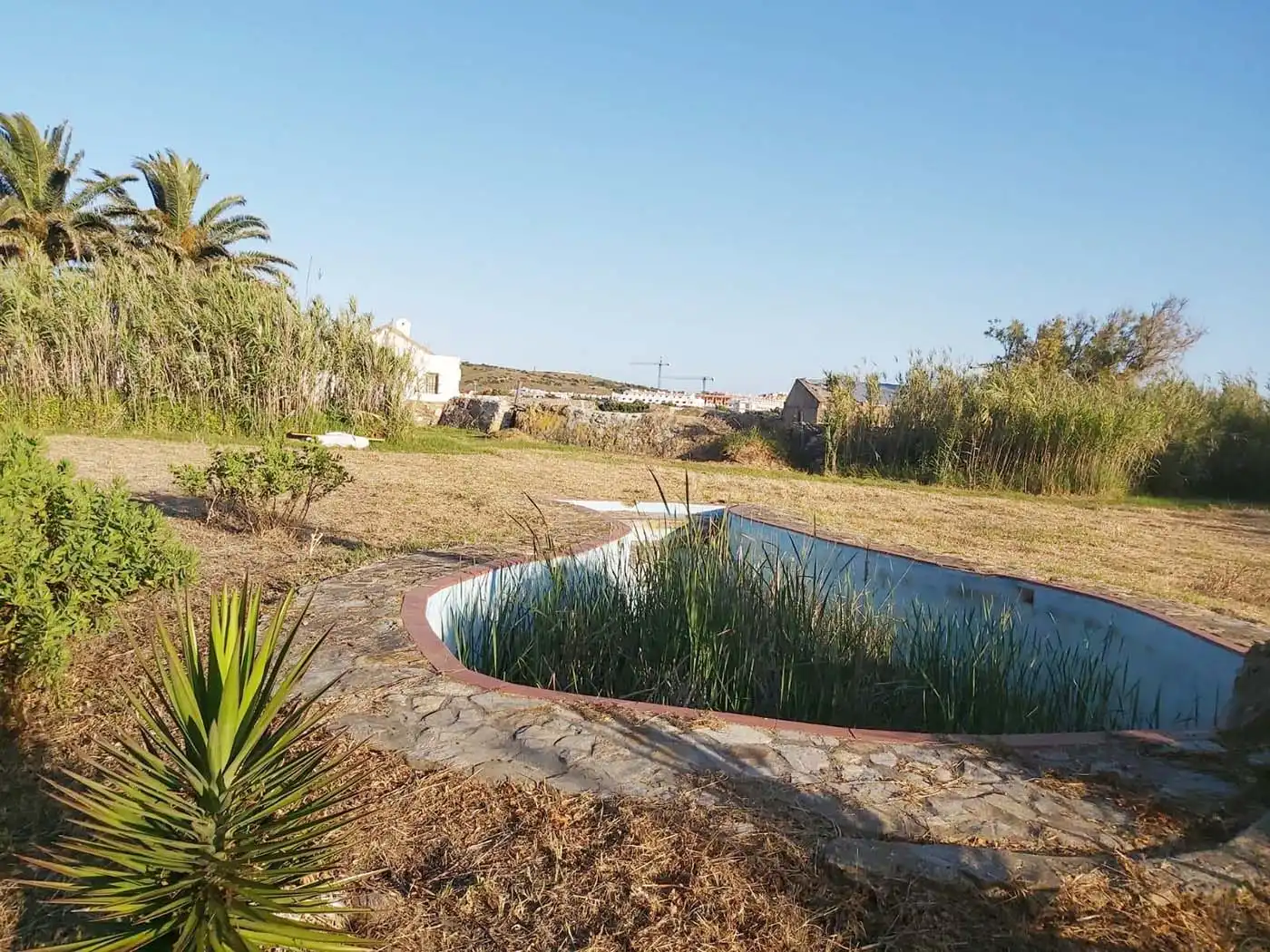 Terreno rustico in vendita a Tarifa ciudad, imagen 3