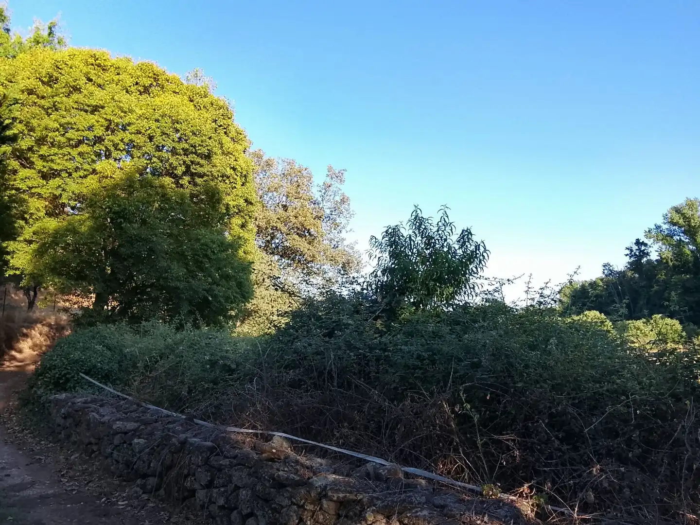 Terreni e lotti in vendita a Villanueva de la Vera, imagen 9