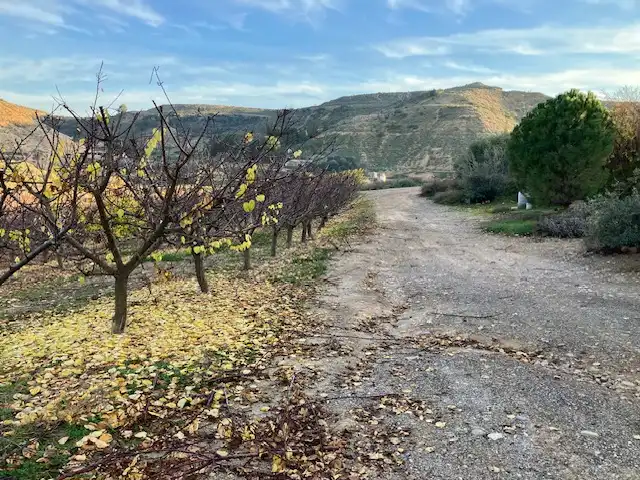 Terreni e lotti in vendita a A-1234, imagen 12