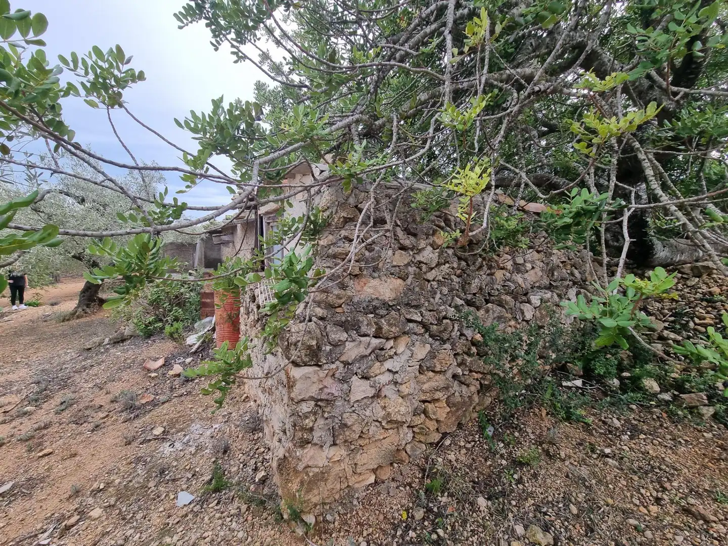 Casa rústica en venta en El Perelló, imagen 25