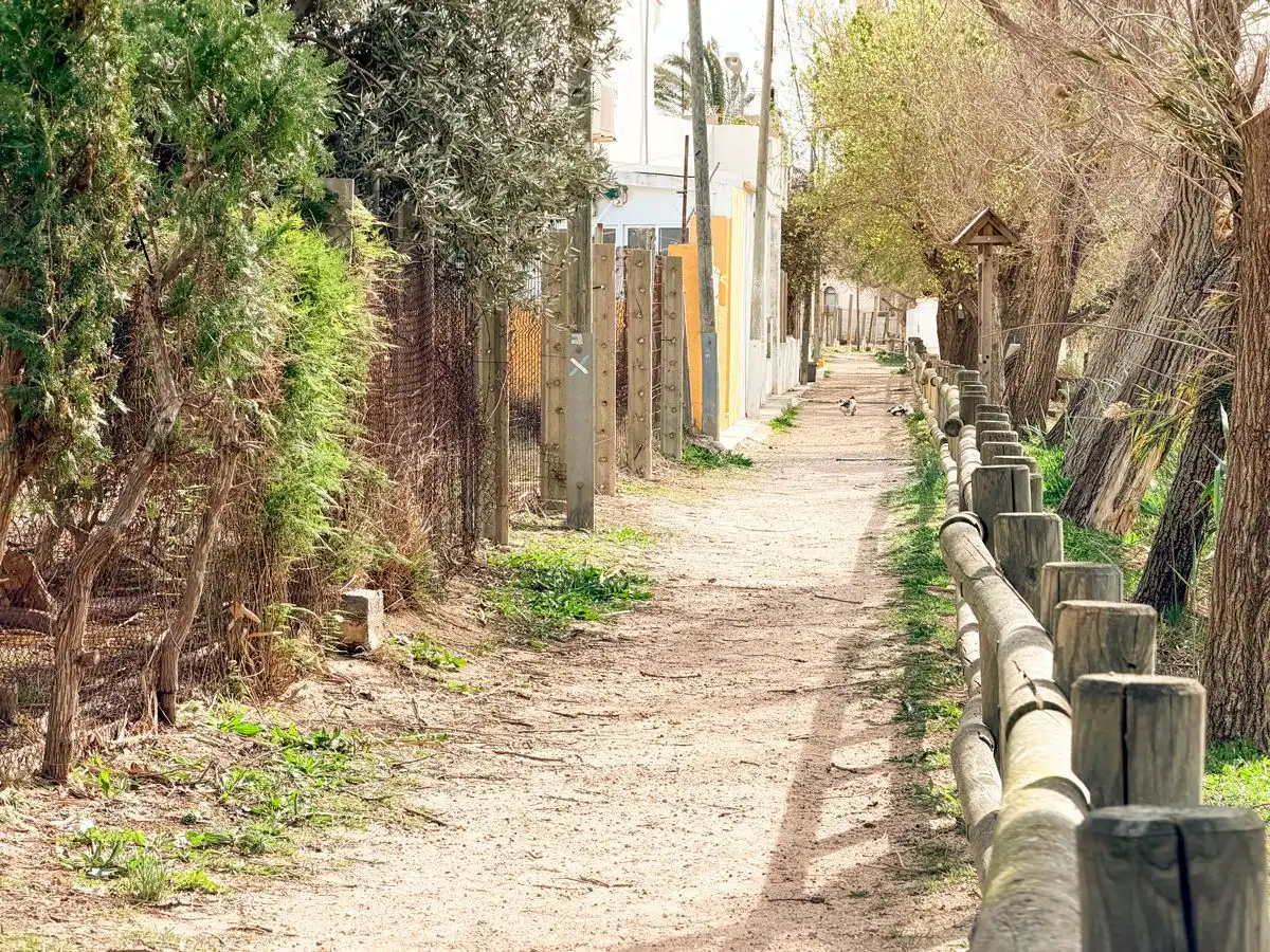 Gewerbefläche zum Verkauf in Sant Antoni, imagen 36