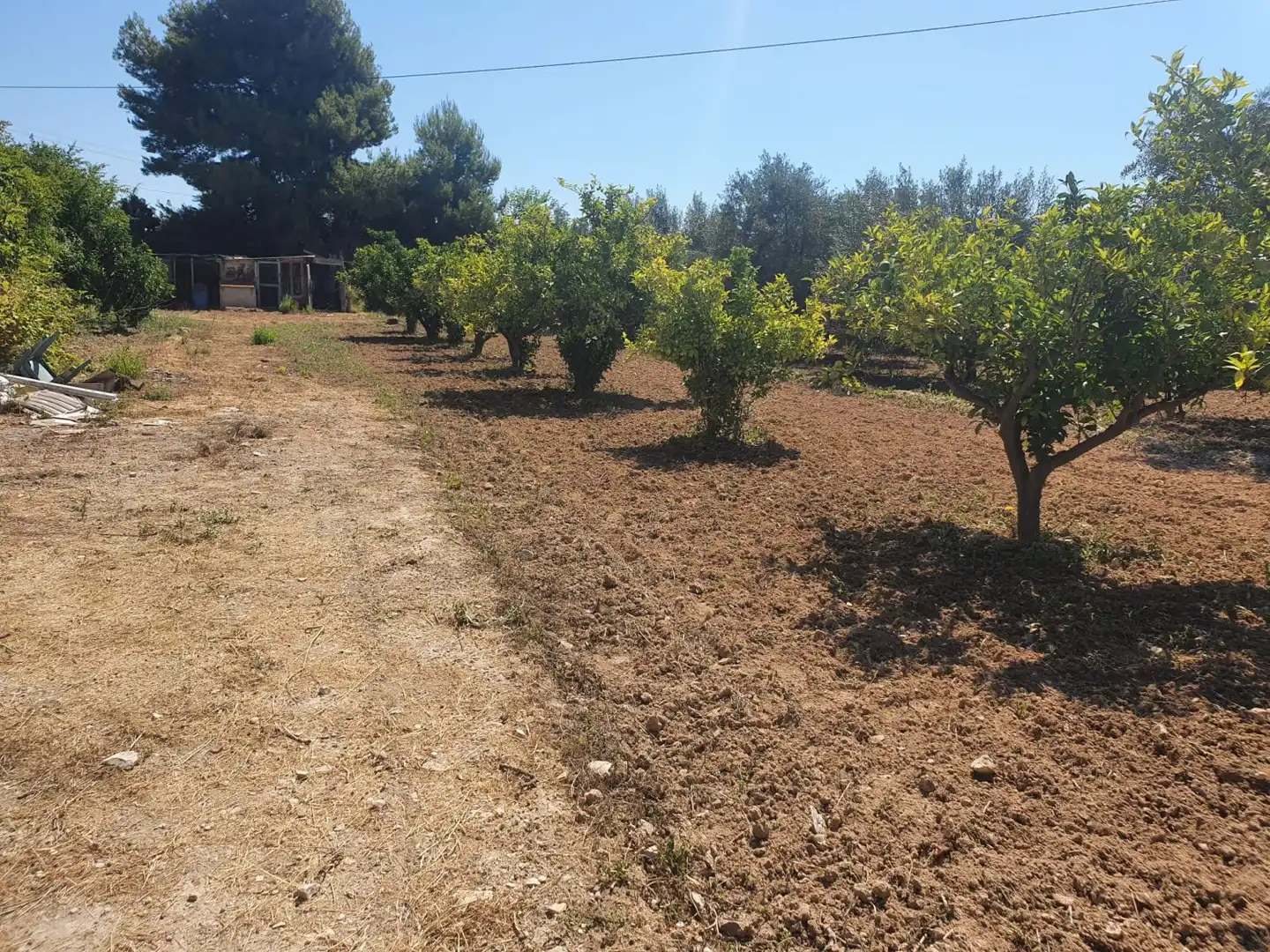 Finca rústica en venta en Villajoyosa / La Vila Joiosa