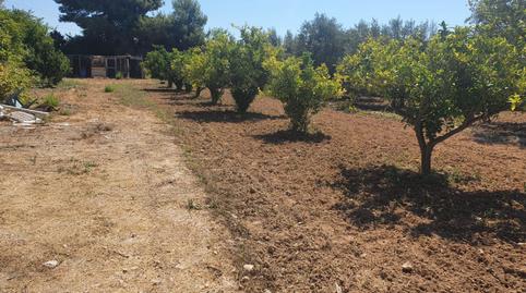 Photo 2 of Country homes for sale in El Secanet - Hacienda del Sol, Villajoyosa / La Vila Joiosa