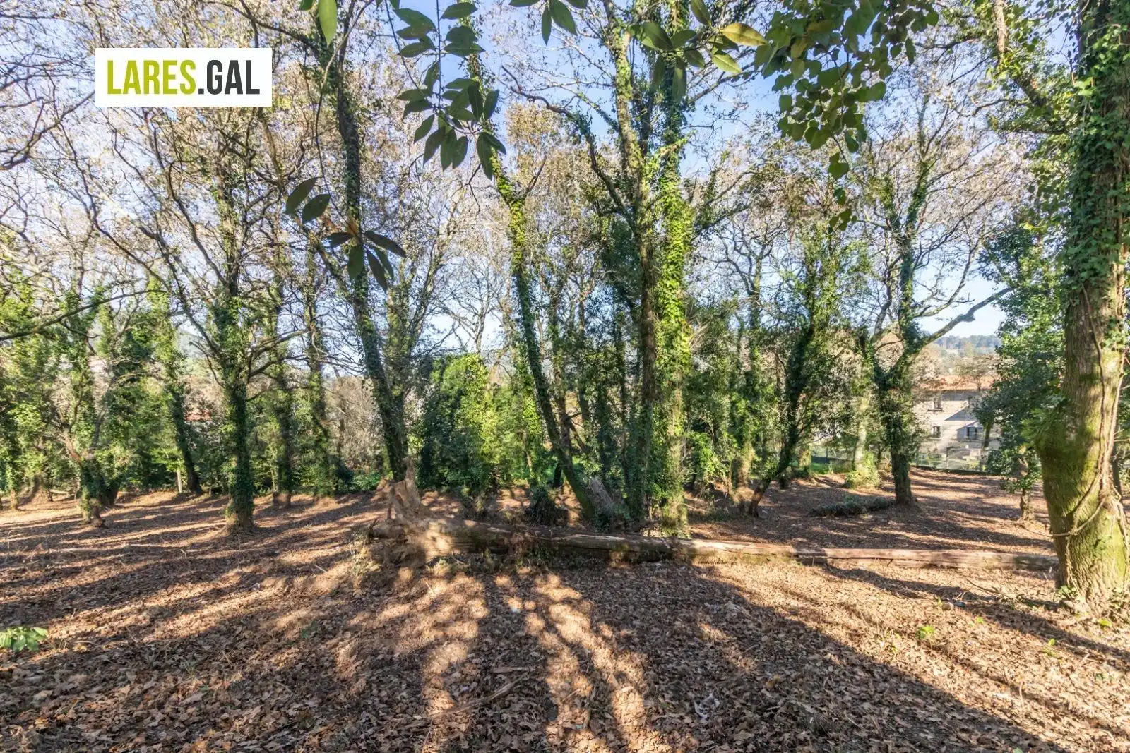 Lands and plots for sale in Rúa Ximeu, imagen 14