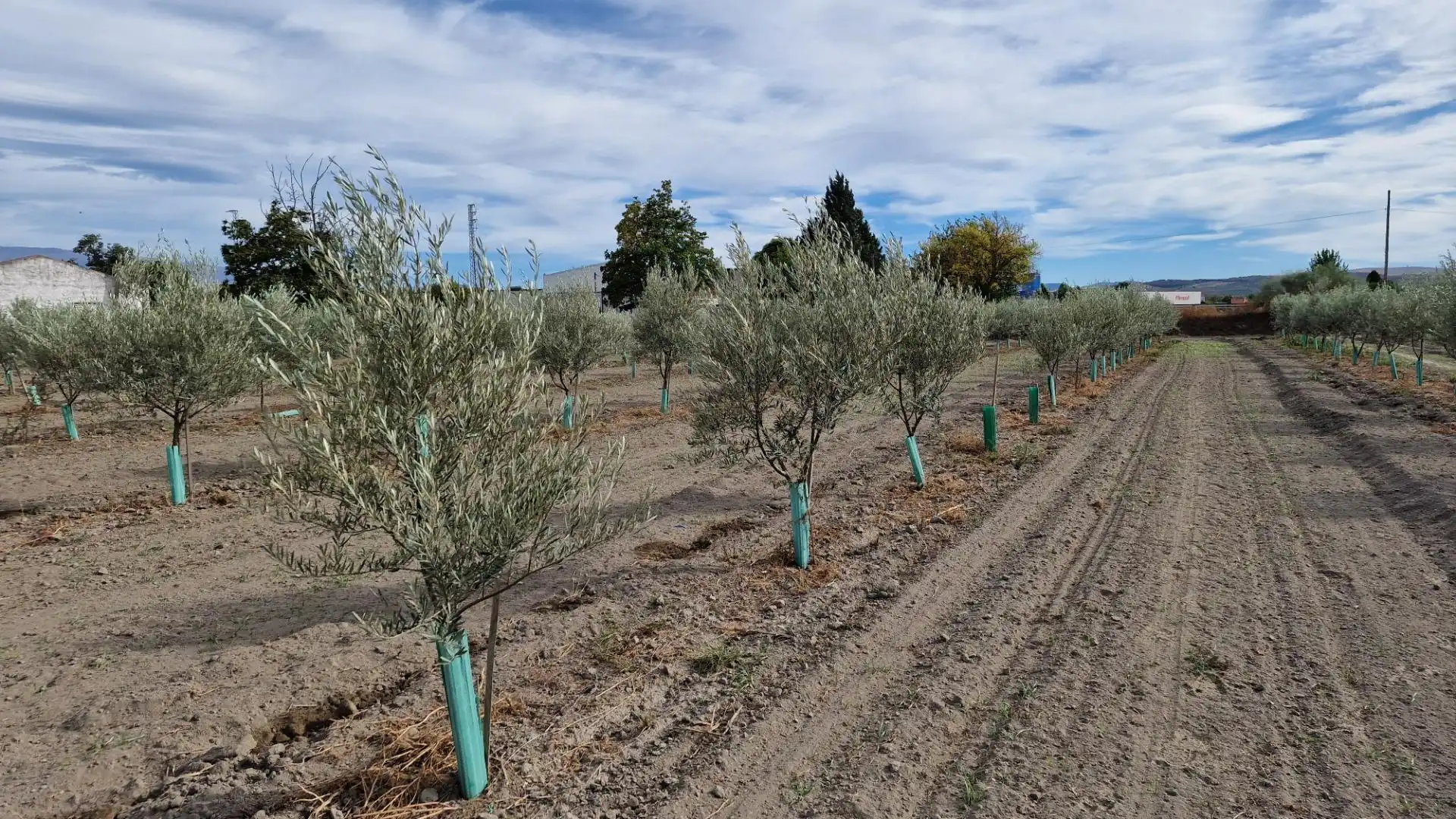 Terreno rustico in vendita a CTRA SANTA FE A EL JAU, imagen 17