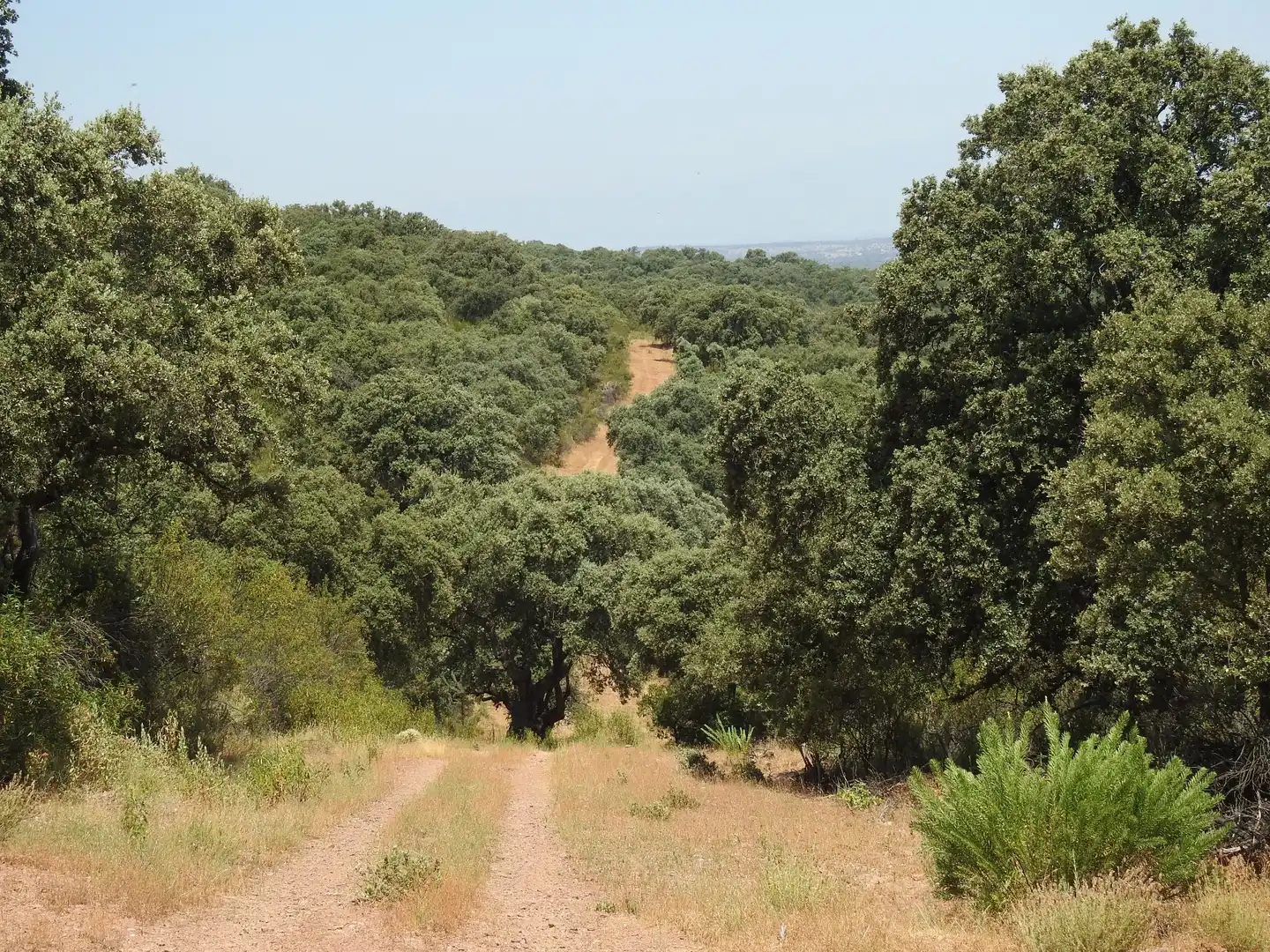 Terreni e lotti in vendita a Villar del Pedroso, imagen 4