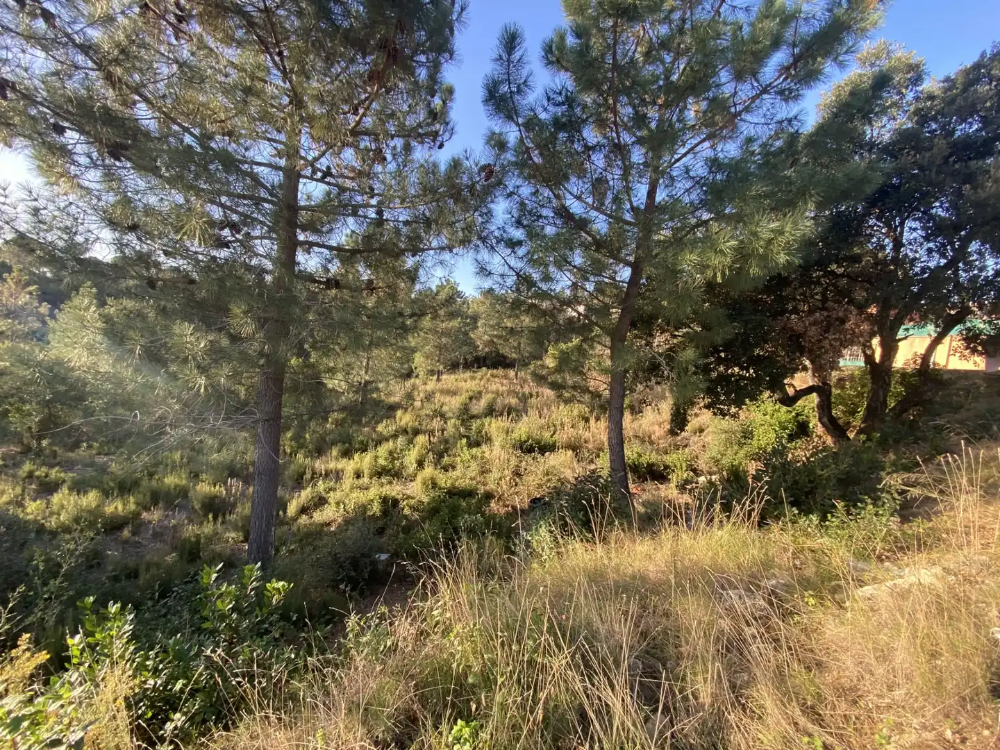 Terreno residencial en venta en Carrer Perdiu 38, imagen 17