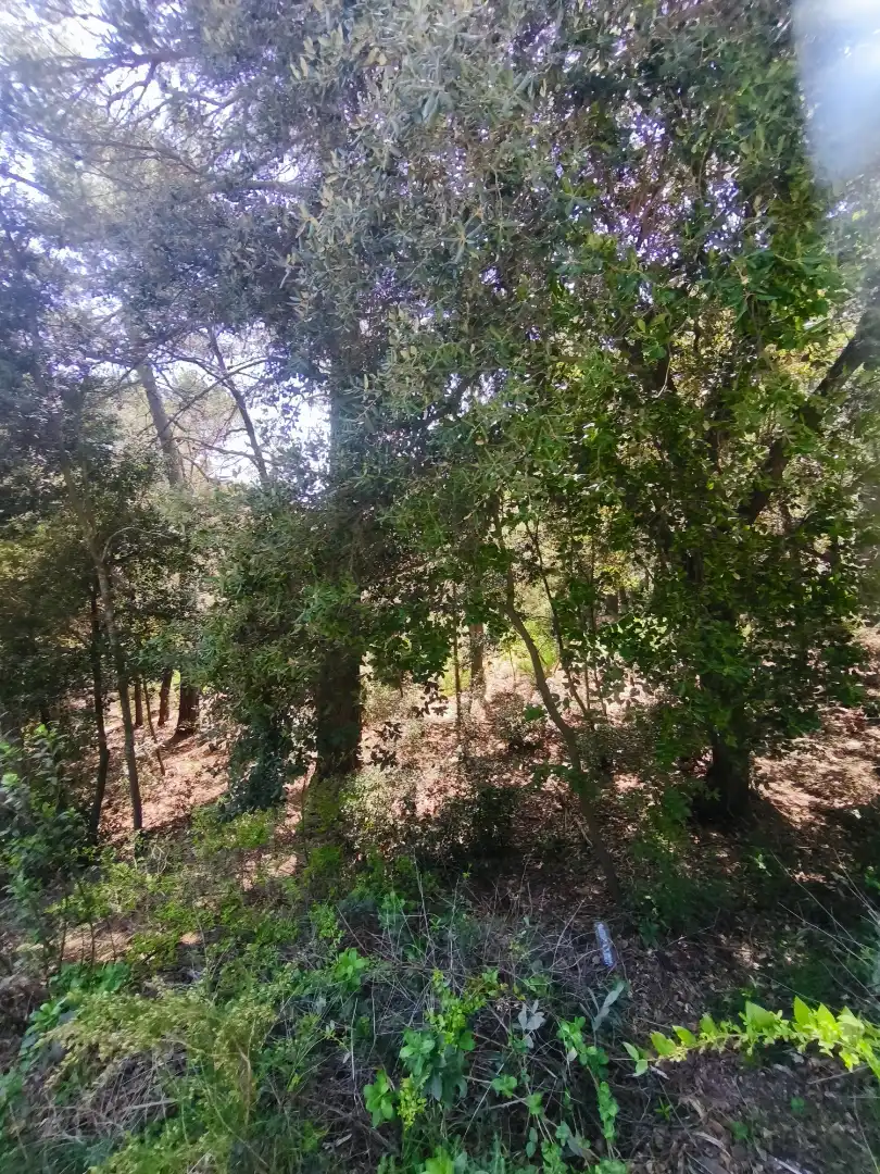 Terrain résidentiel à vendre à Carrer de la Font del Querol 19, imagen 13