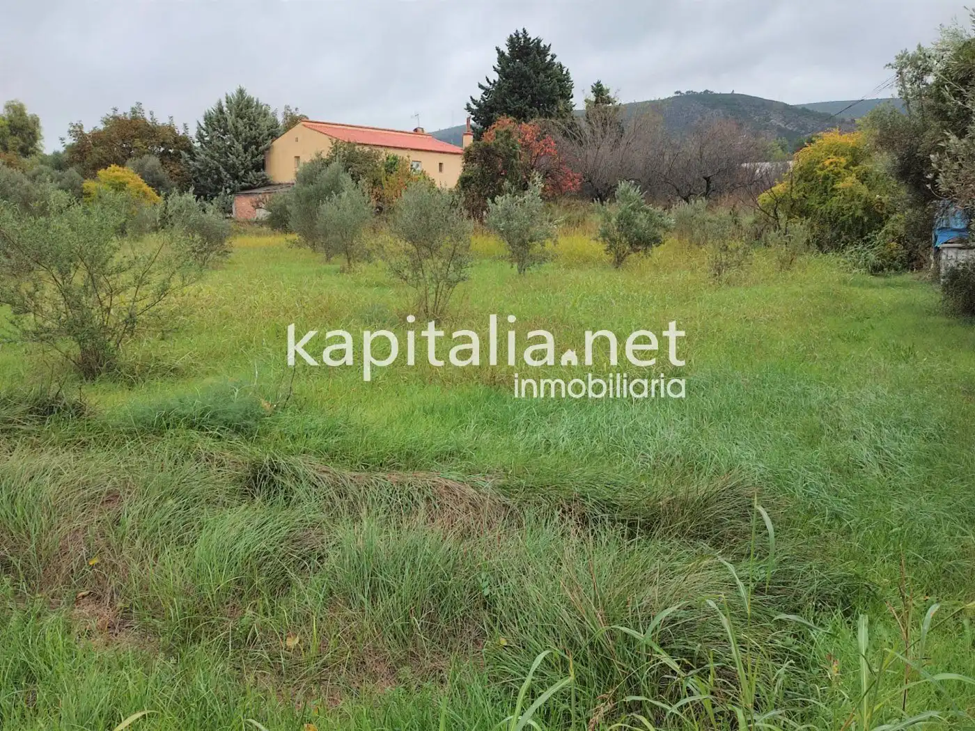 Terrain rustique à vendre à El Llombo