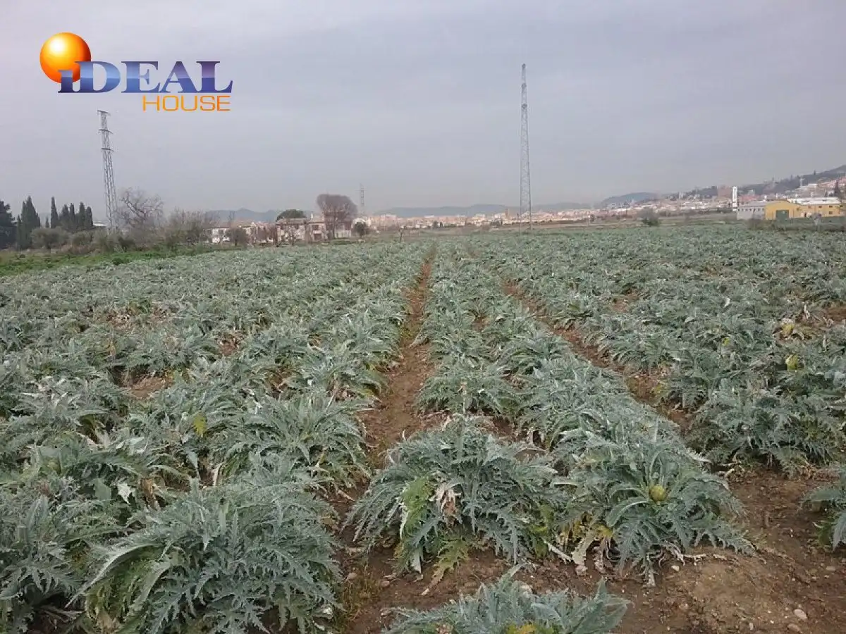Finca rústica en venta en Campus de la Salud