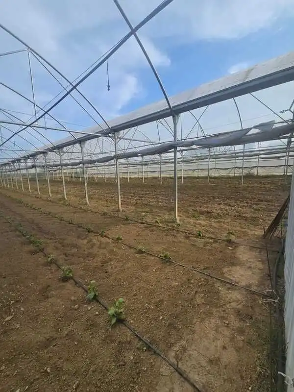 Terrenys i solars en venda a Área Rural, imagen 5
