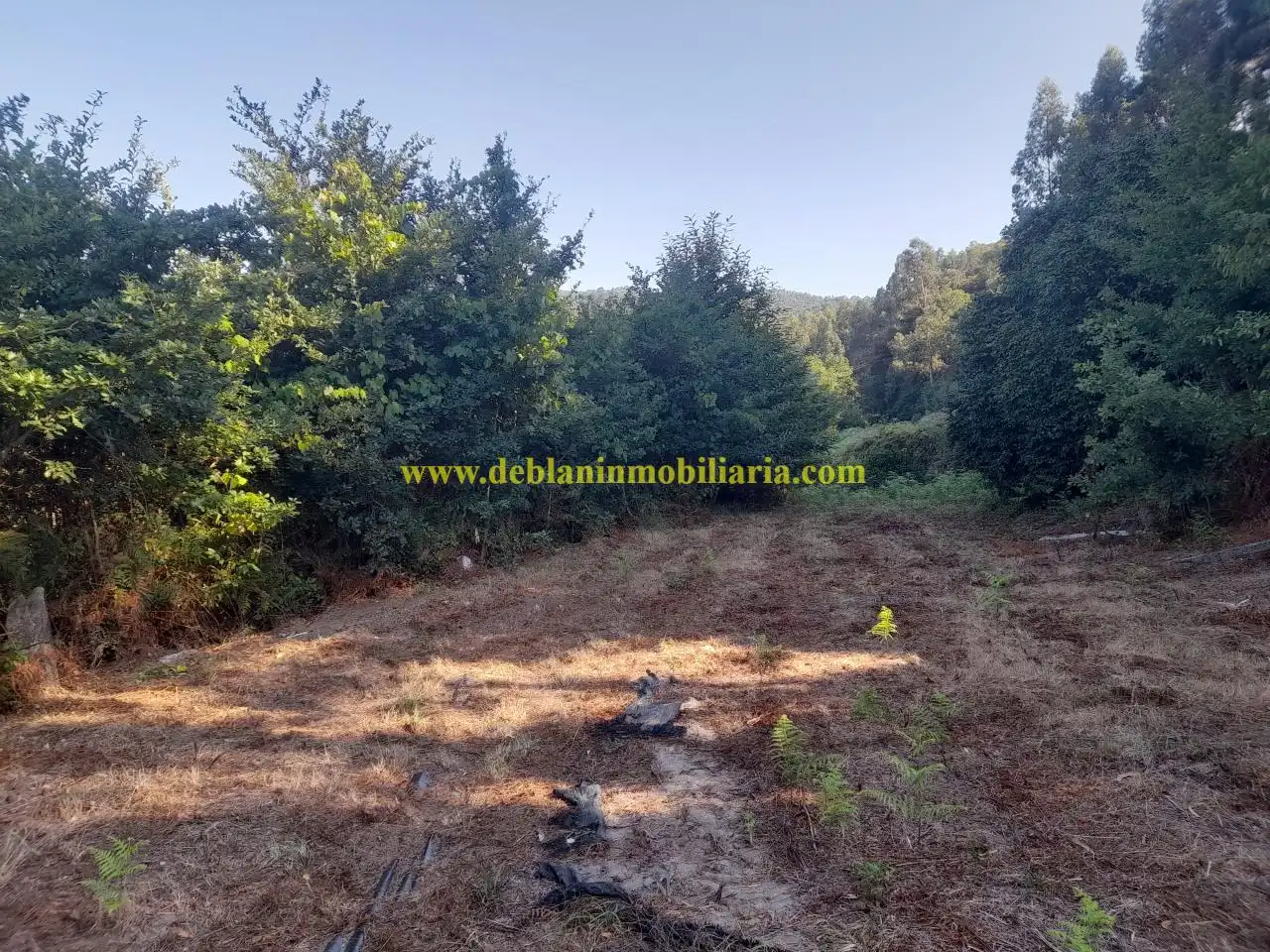 Finca rústica en venta en Tomiño con Jardín privado
